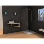 PANORAMA Parete doccia fissa per Box Doccia cm 100 finitura argento satinato (misura 98/100 h.200) - Bagno Italiano