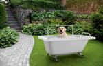 VASCABAU Vasca per cani 120x70 cm. - Bagno Italiano